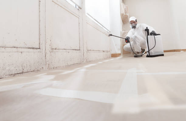 24/7 Emergency Mold Remediation experts in Berryville, VA