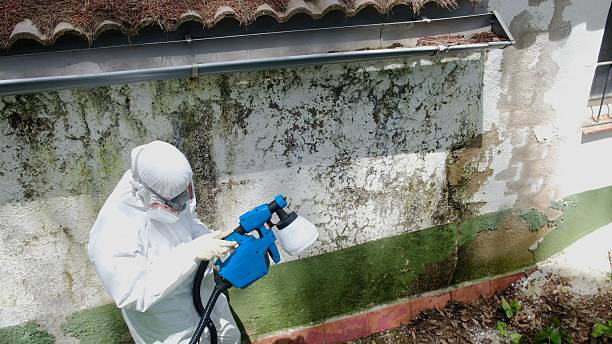 Top rated local Mold Remediation specialists in Berryville, VA